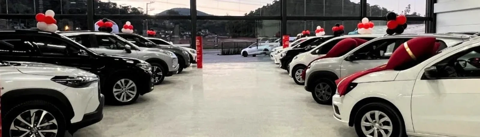 Djuly Automóveis